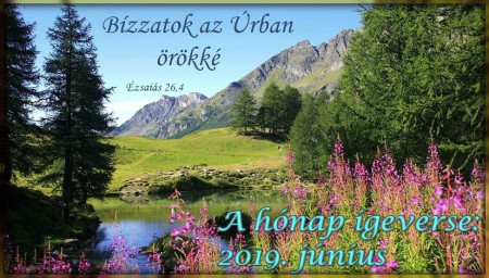 2019 - JÚNIUS HÓNAP IGEVERSE